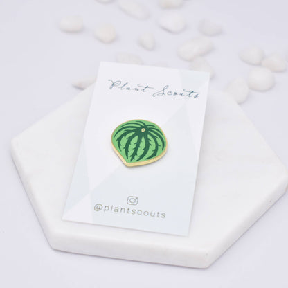 Watermelon Peperomia Plant Enamel Pin