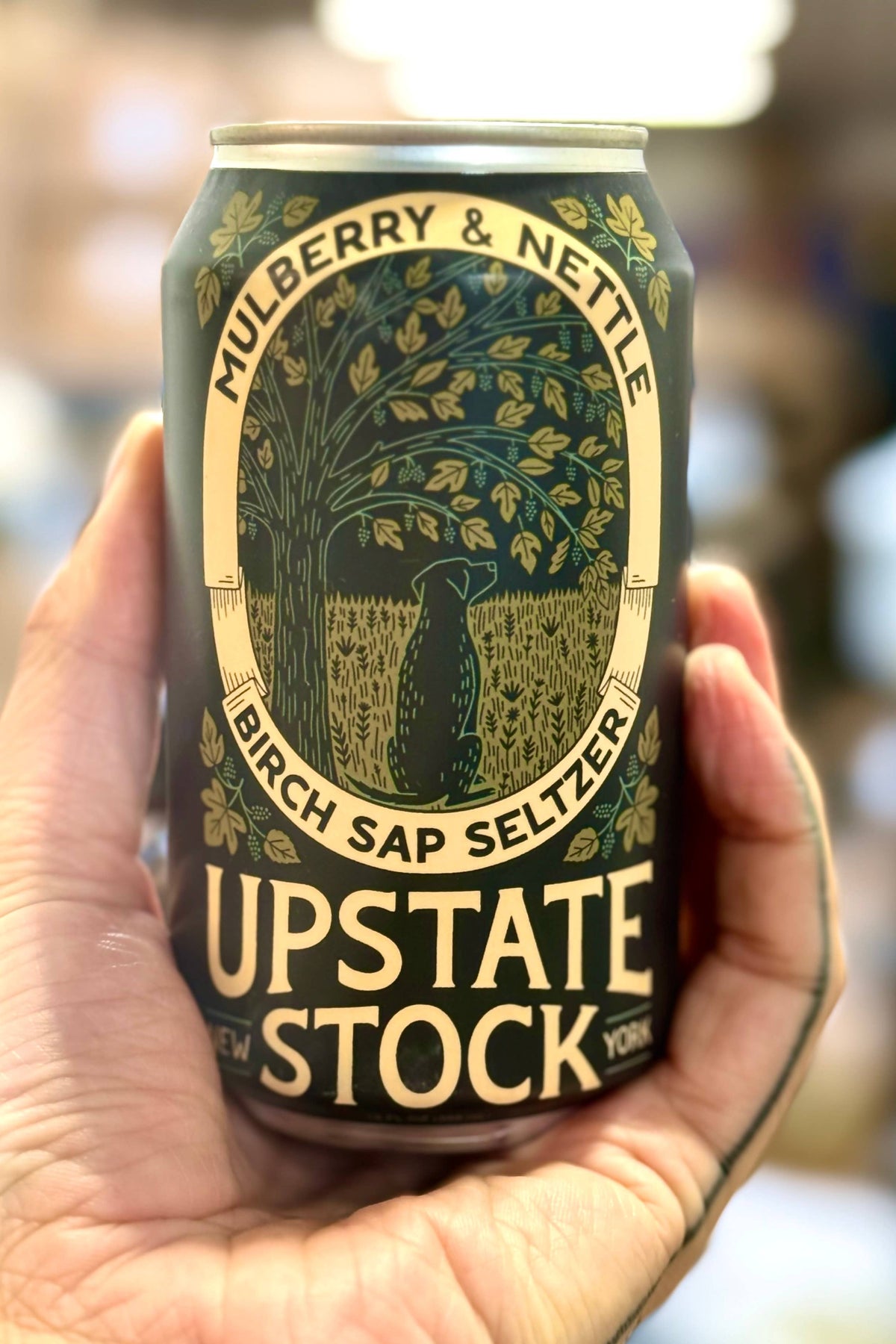 MULBERRY & NETTLE BIRCH SAP SELZTER