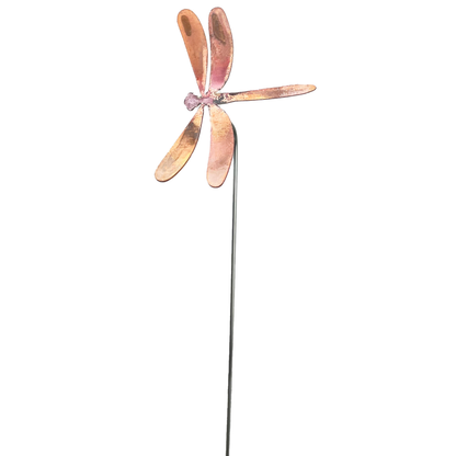 Small Natural Copper Dragonflies