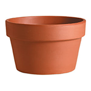 Deroma Azalea Terracotta Pot - 6.7"