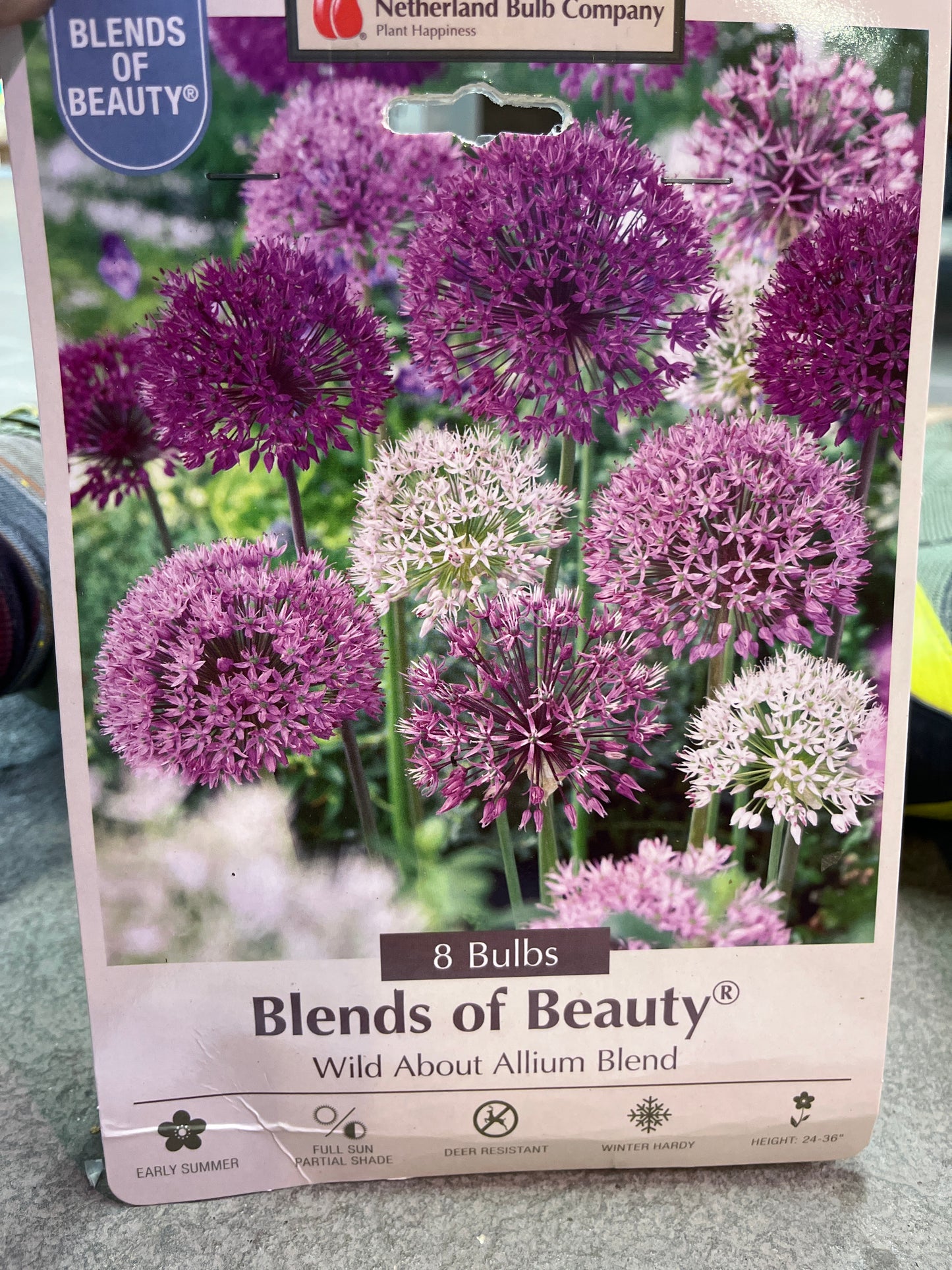Blends of Beauty Wild About Mixed Allium Blend 8 bulbs
