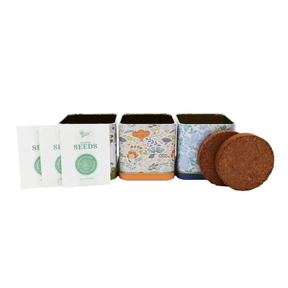 Tea Garden Grow Kit | Herb Kit | Indoor Garden Set