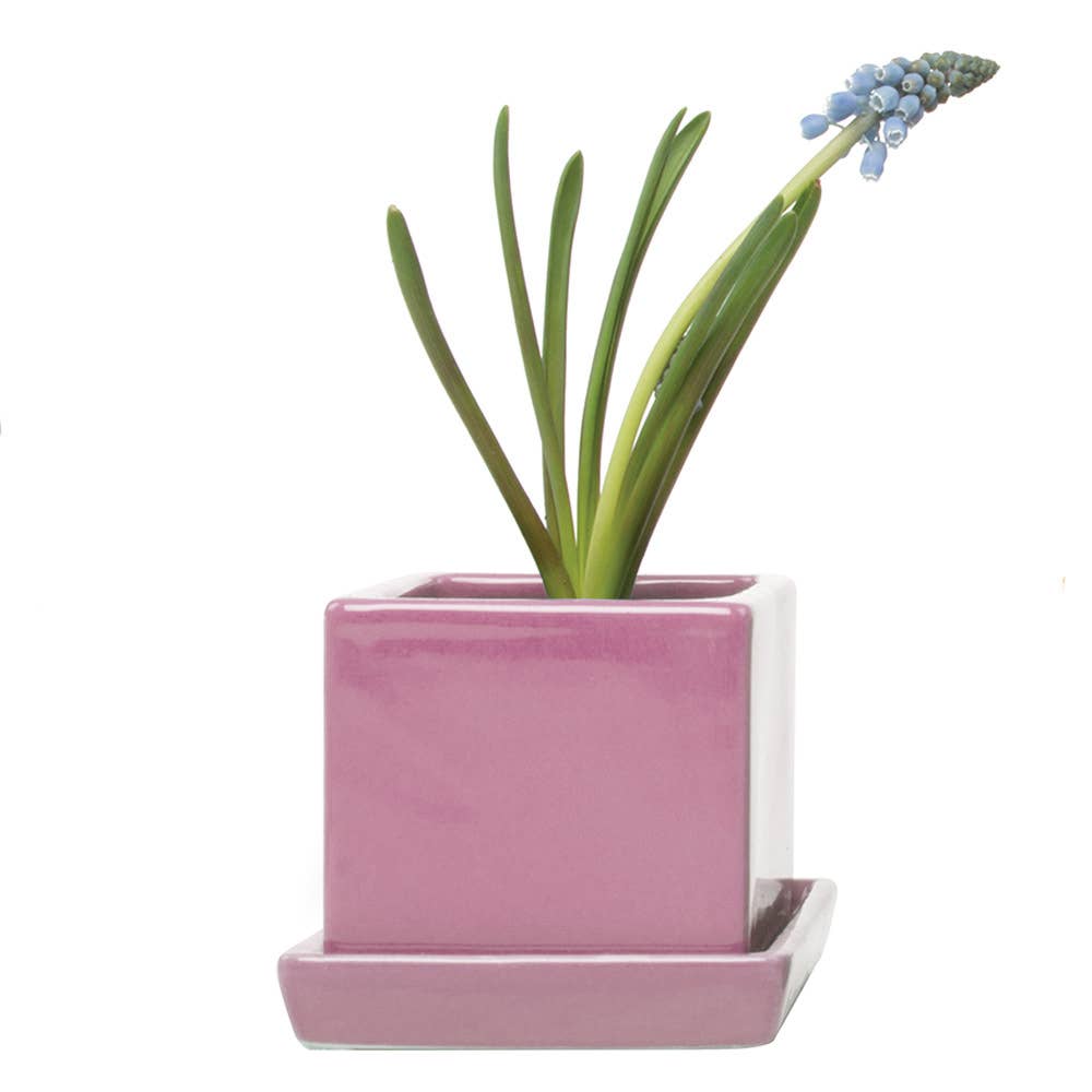 Cube Pot With Saucer And Drainage Hole 60 Plus Colors