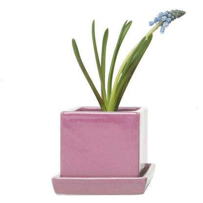 Cube Pot With Saucer And Drainage Hole 60 Plus Colors