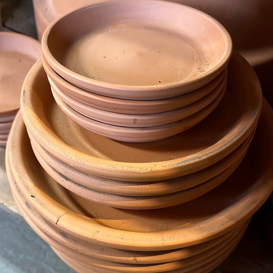 Standard Clay Saucer - 6"