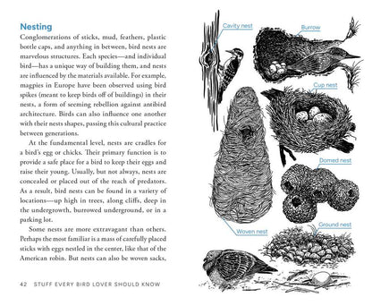 Stuff Every Bird Lover Should Know by Alice  Sun