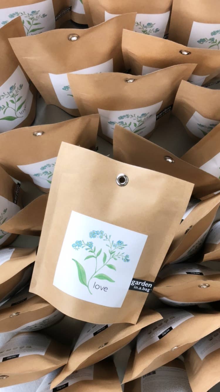 Garden in a Bag | Love - Forget Me Nots | Spring Garden
