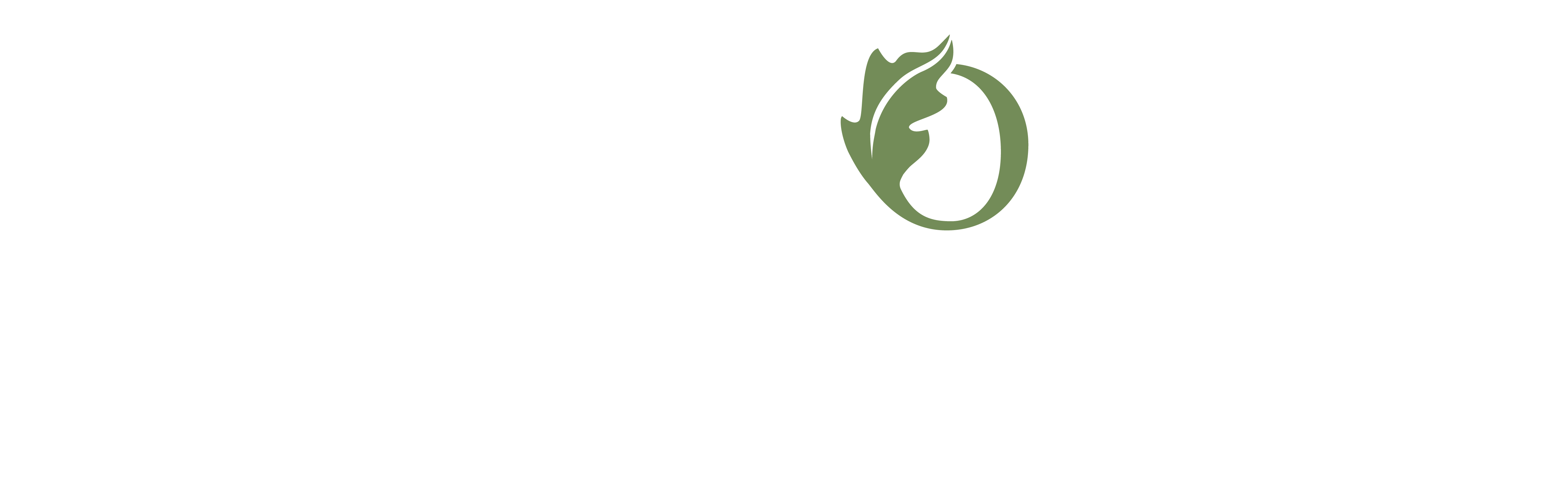 Canopy Logo