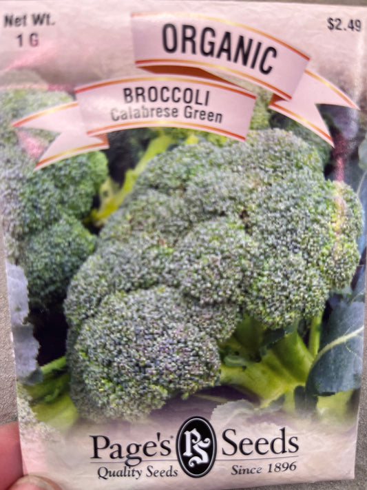 Organic Broccoli - Early Green Seeds