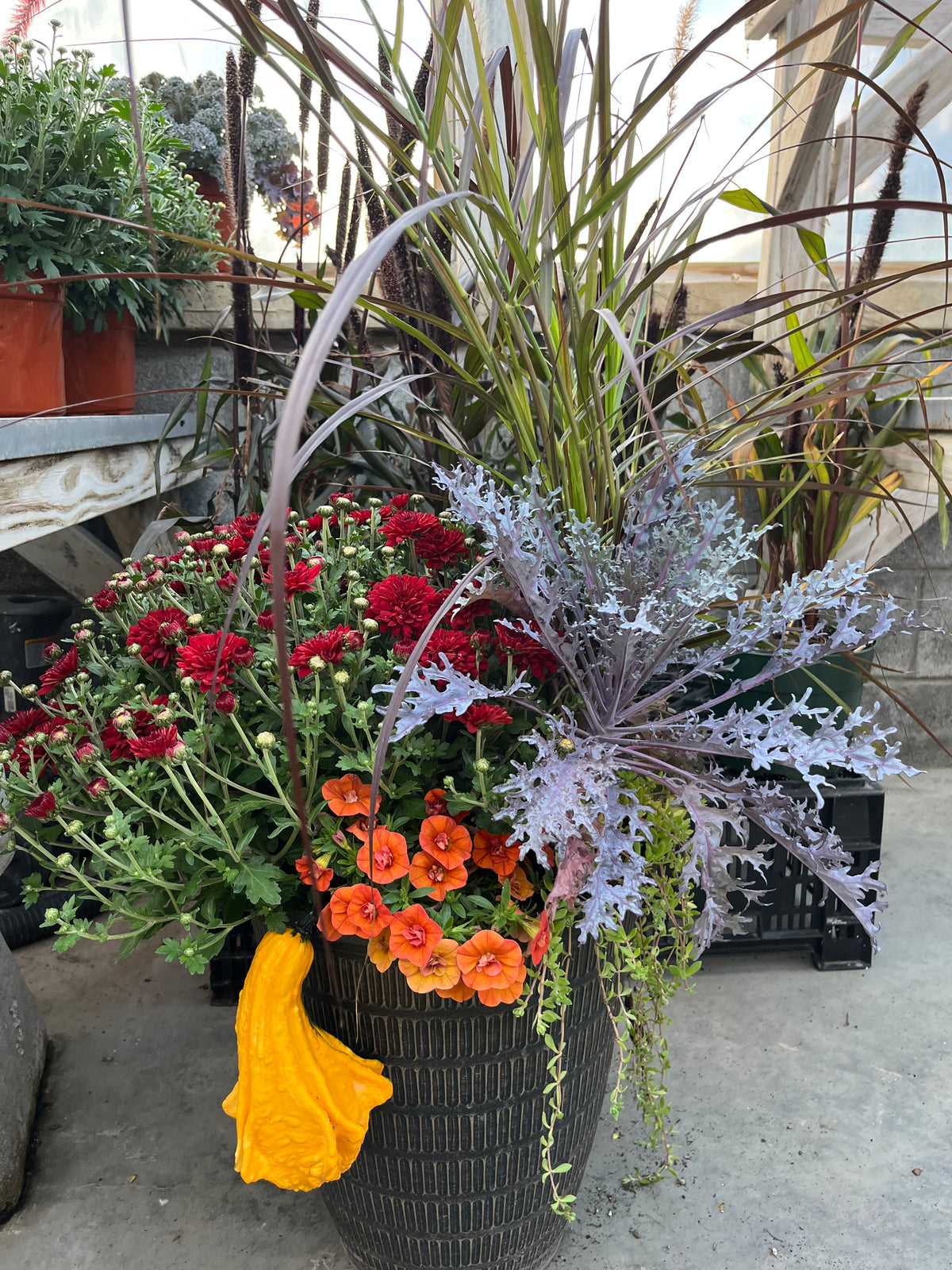 Fall Combination