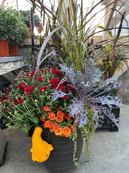 Fall Combination