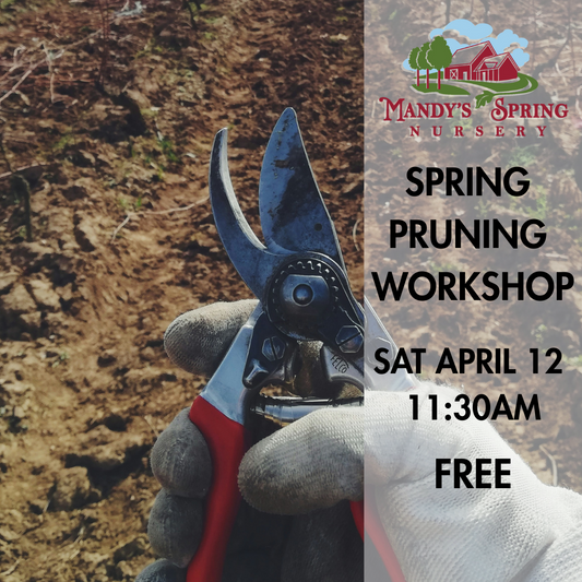 Spring Pruning Workshop - Sat April 12 @ 11:30AM