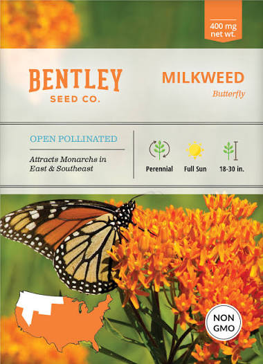 Butterly Milkweed Seed Packet - Bentley Seeds