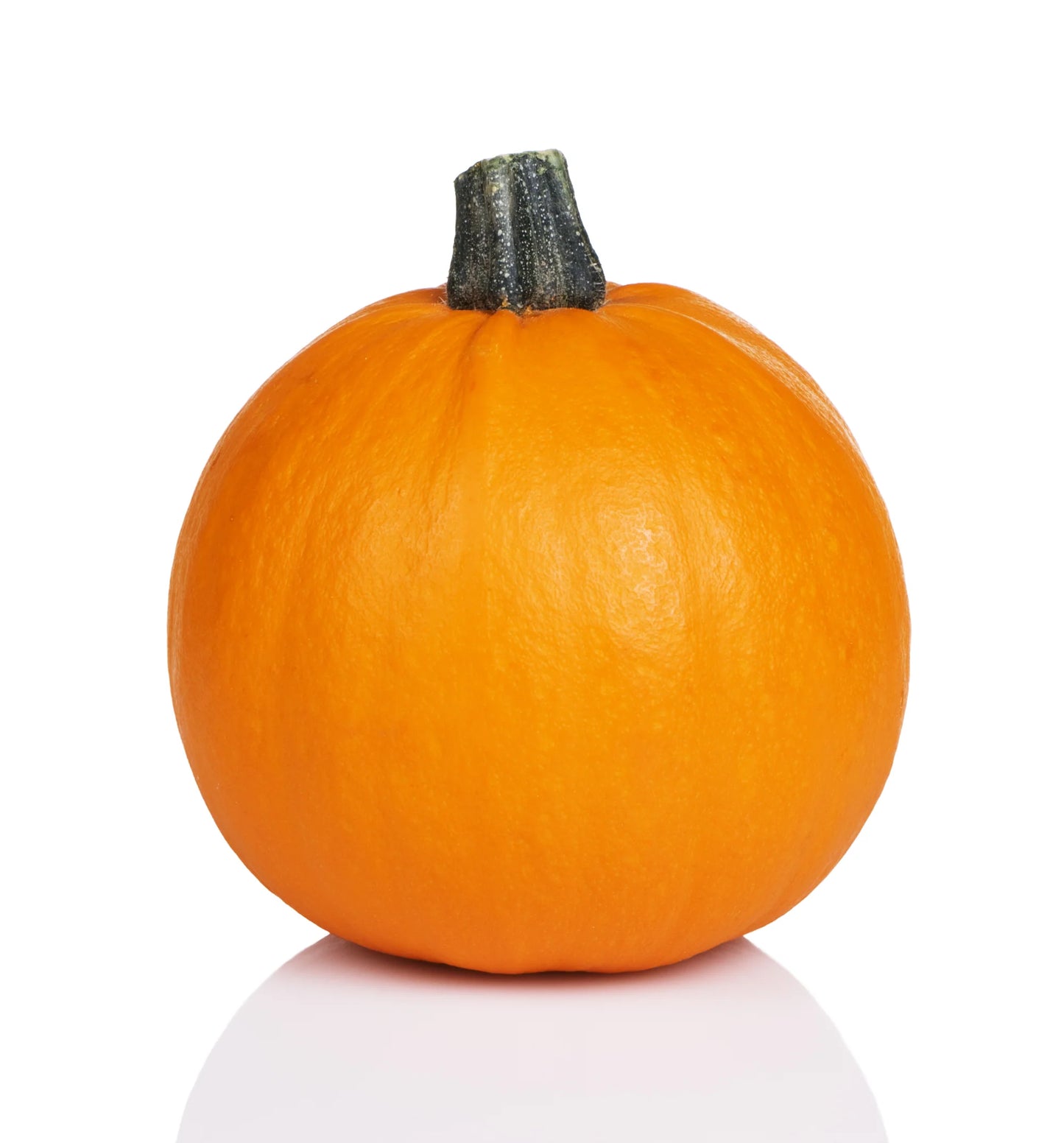 Pumpkin Small Sugar ( Heirloom- NON GMO) Seeds