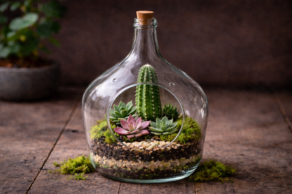 Make Your Own Terrarium Workshop - Sat Feb 28 @ 10 AM @ Canopy Saratoga