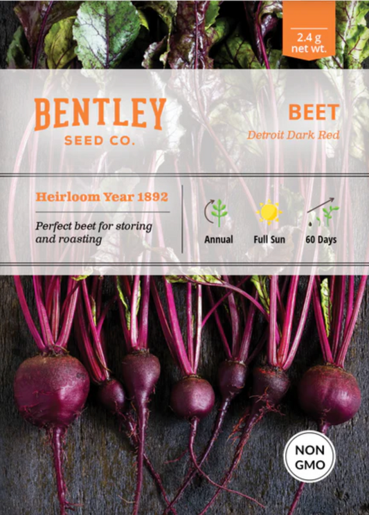 Beets 'Detroit' - Vegetable Seeds