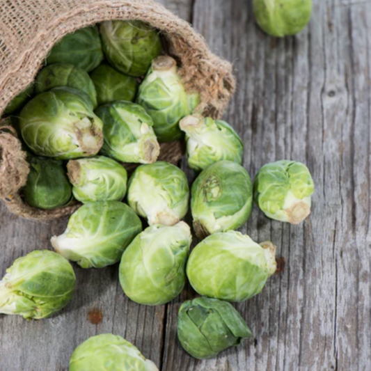 Brussel Sprouts 'Long Island Improved' - Vegetable Seeds