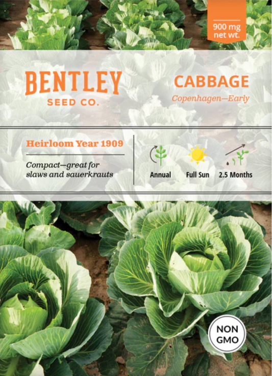 Cabbage 'Copenhagen Market' - Vegetable Seeds