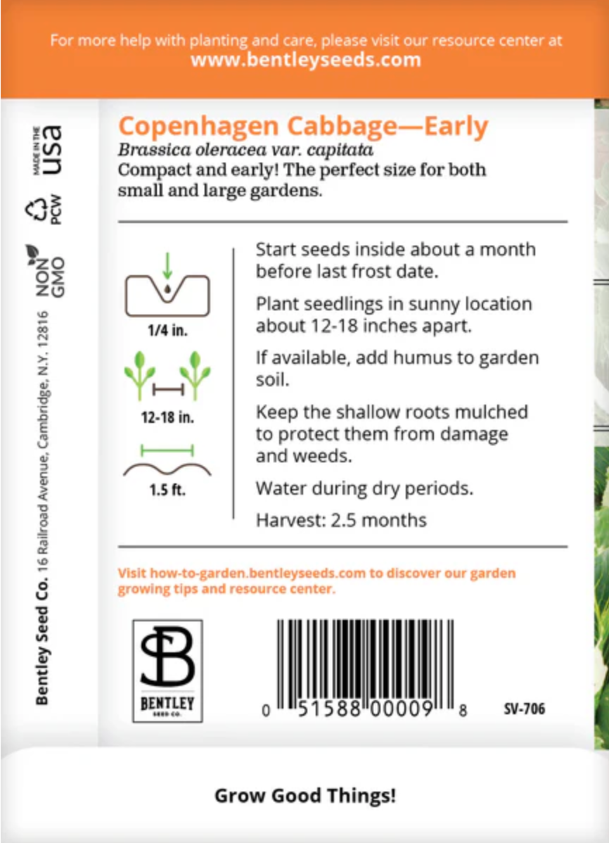 Cabbage 'Copenhagen Market' - Vegetable Seeds