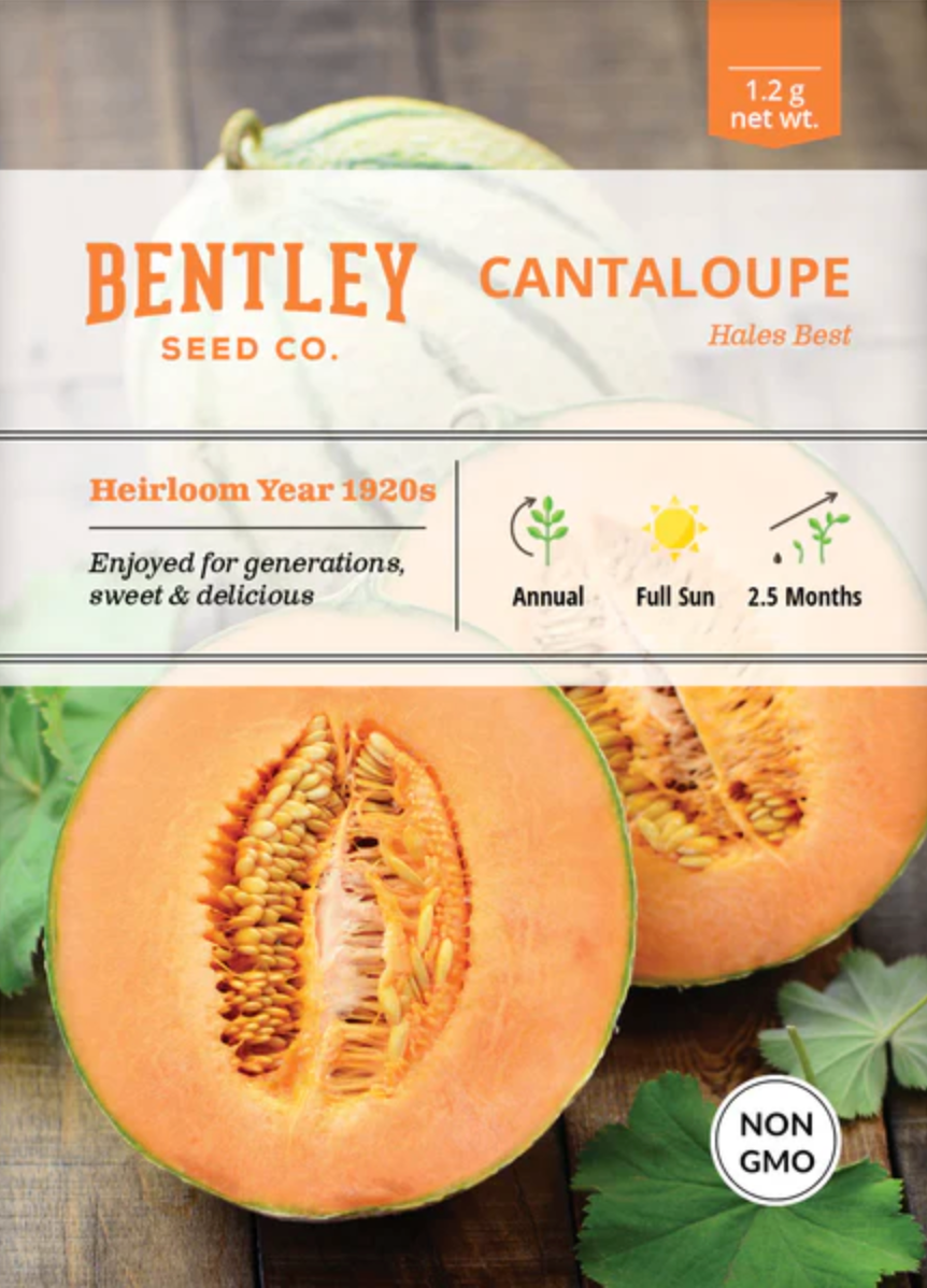 Cantaloupe 'Hales Best' - Fruit Seeds