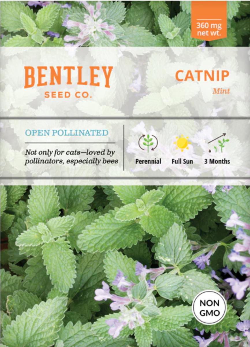 Catnip - Herb Seeds