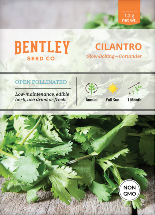 Cilantro/Coriander (Slow-Bolt) - Herb Seeds