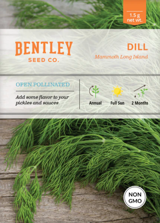 Dill 'Long Island Mammoth' - Herb Seeds