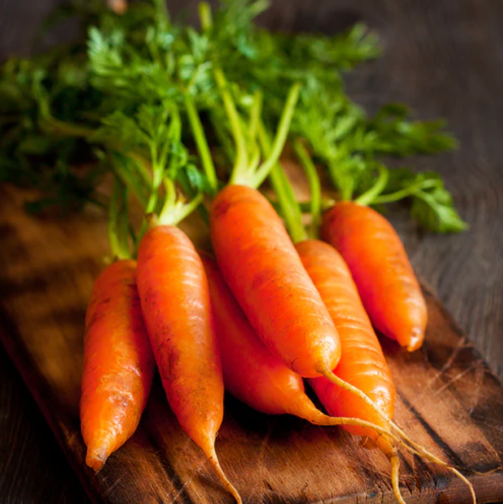 Carrot 'Nantes' - Vegetable Seeds