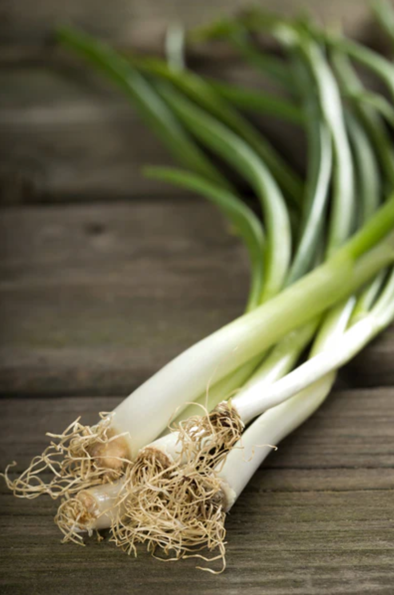 Onion 'Evergreen Bunching' Scallions - Vegetable Seeds