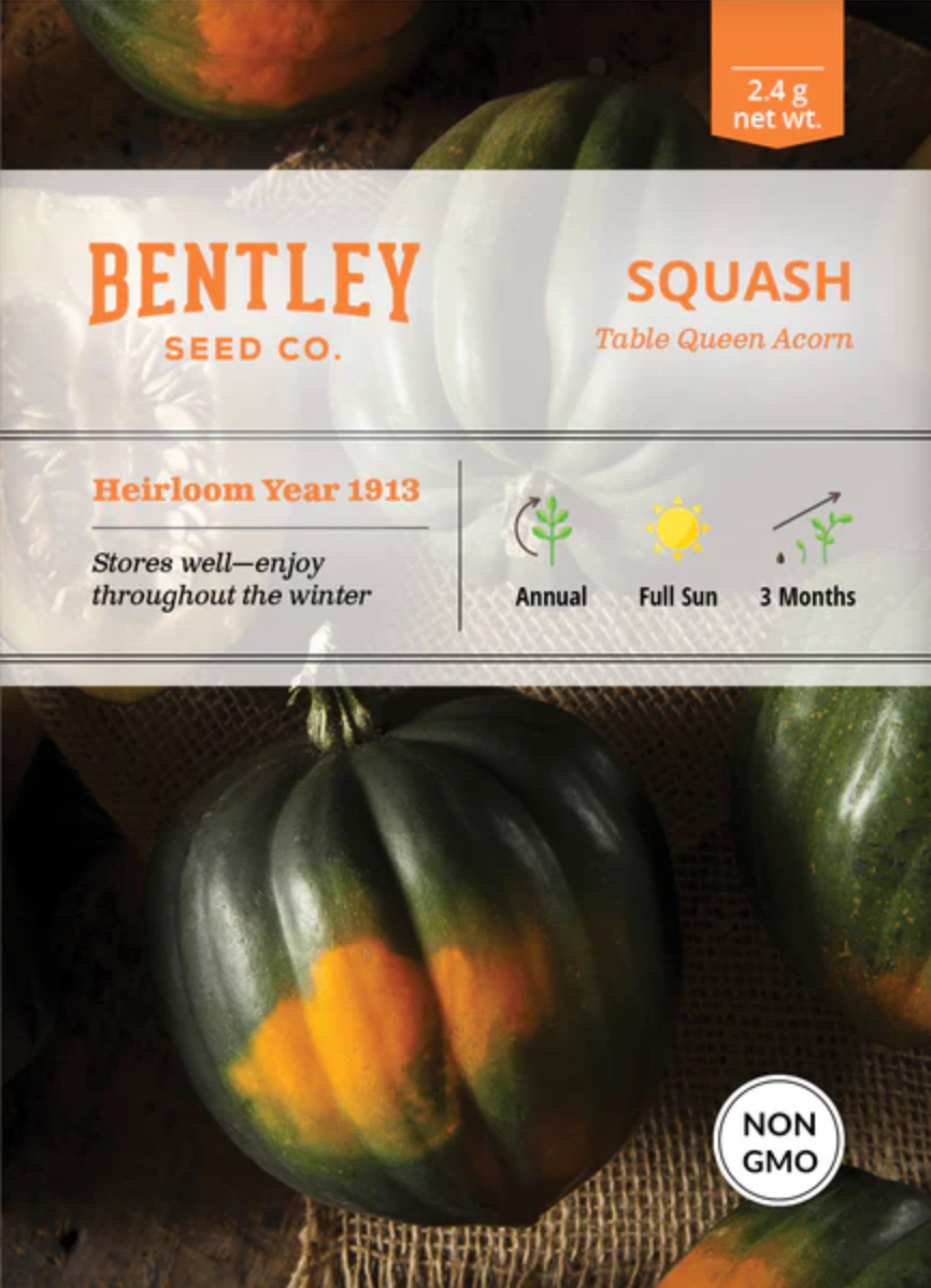 Squash 'Acorn' - Vegetable Seeds