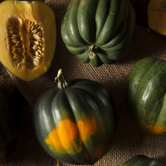 Squash 'Acorn' - Vegetable Seeds