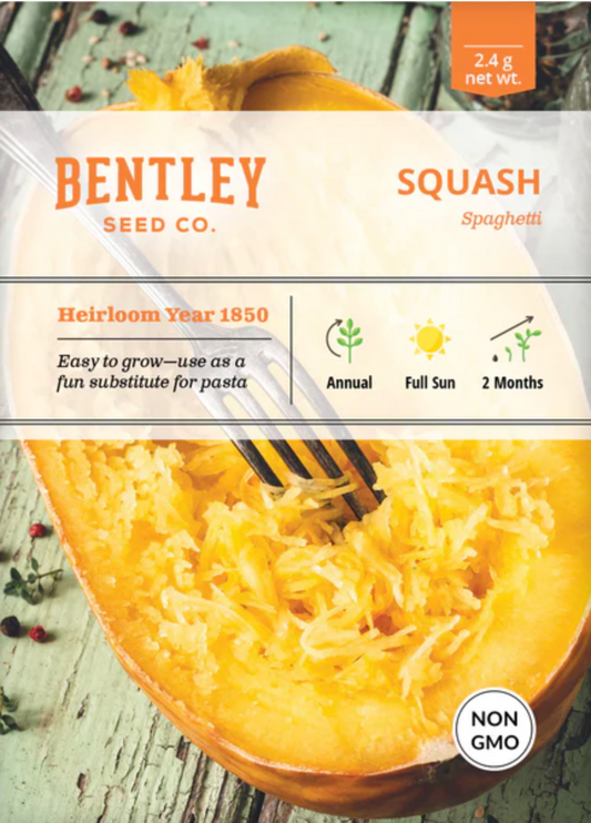 Squash 'Spaghetti' - Vegetable Seeds