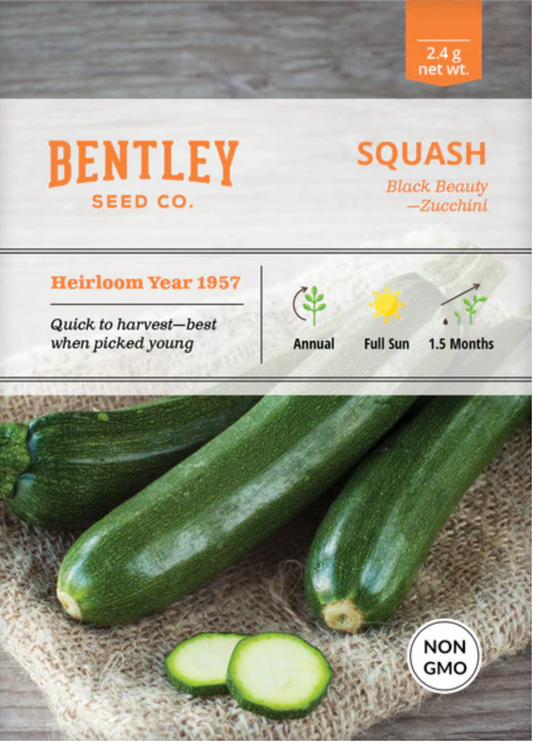 Squash 'Black Beauty' Zucchini - Vegetable Seeds