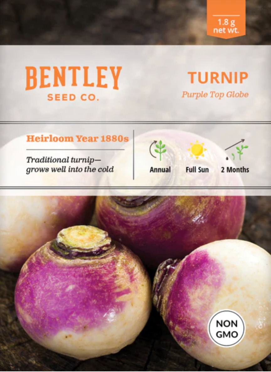 Turnip 'Purple White Globe' - Vegetable Seeds