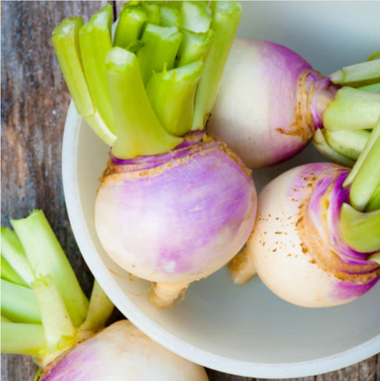 Turnip 'Purple White Globe' - Vegetable Seeds