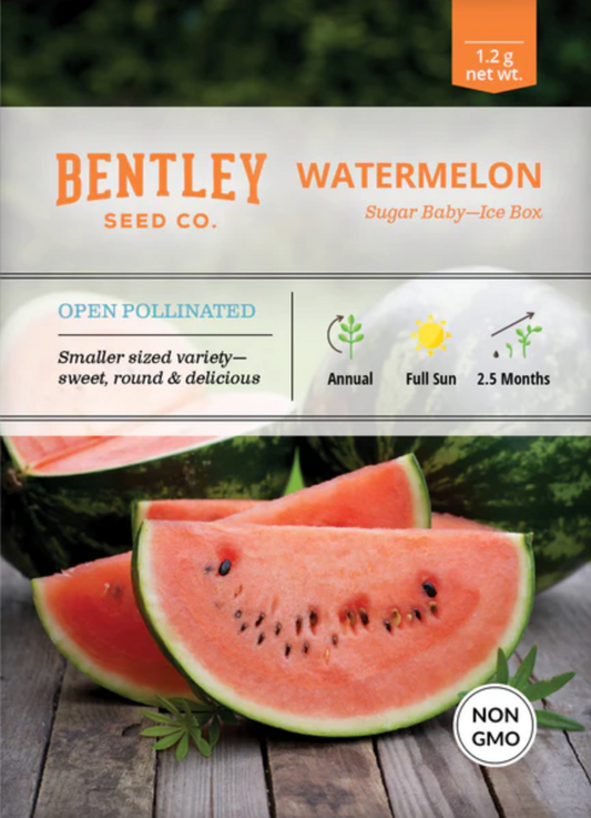 Watermelon 'Sugar Baby' - Fruit Seeds