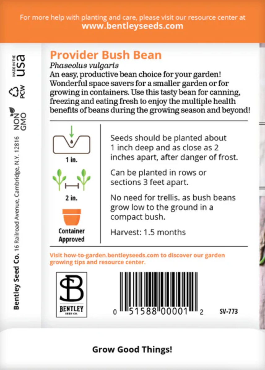 Beans 'Provider' - Vegetable Seeds