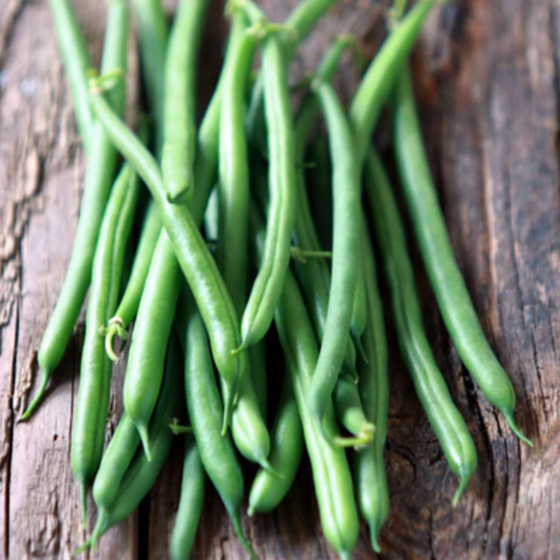 Beans 'Provider' - Vegetable Seeds