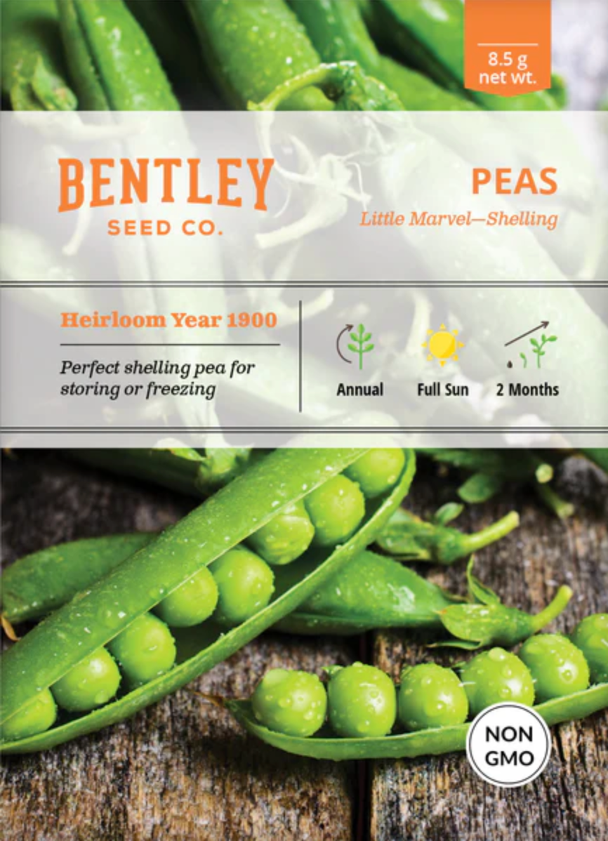 Peas 'Little Marvel Shelling' - Vegetable Seeds