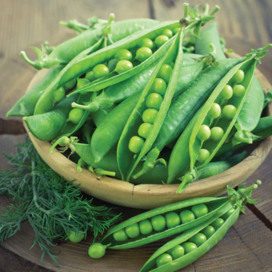 Peas 'Sugar Snap' - Vegetable Seeds