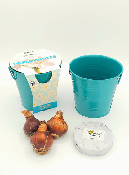 Holiday Paperwhite Bulb Grow Pail | Winter Flower Gift Kit