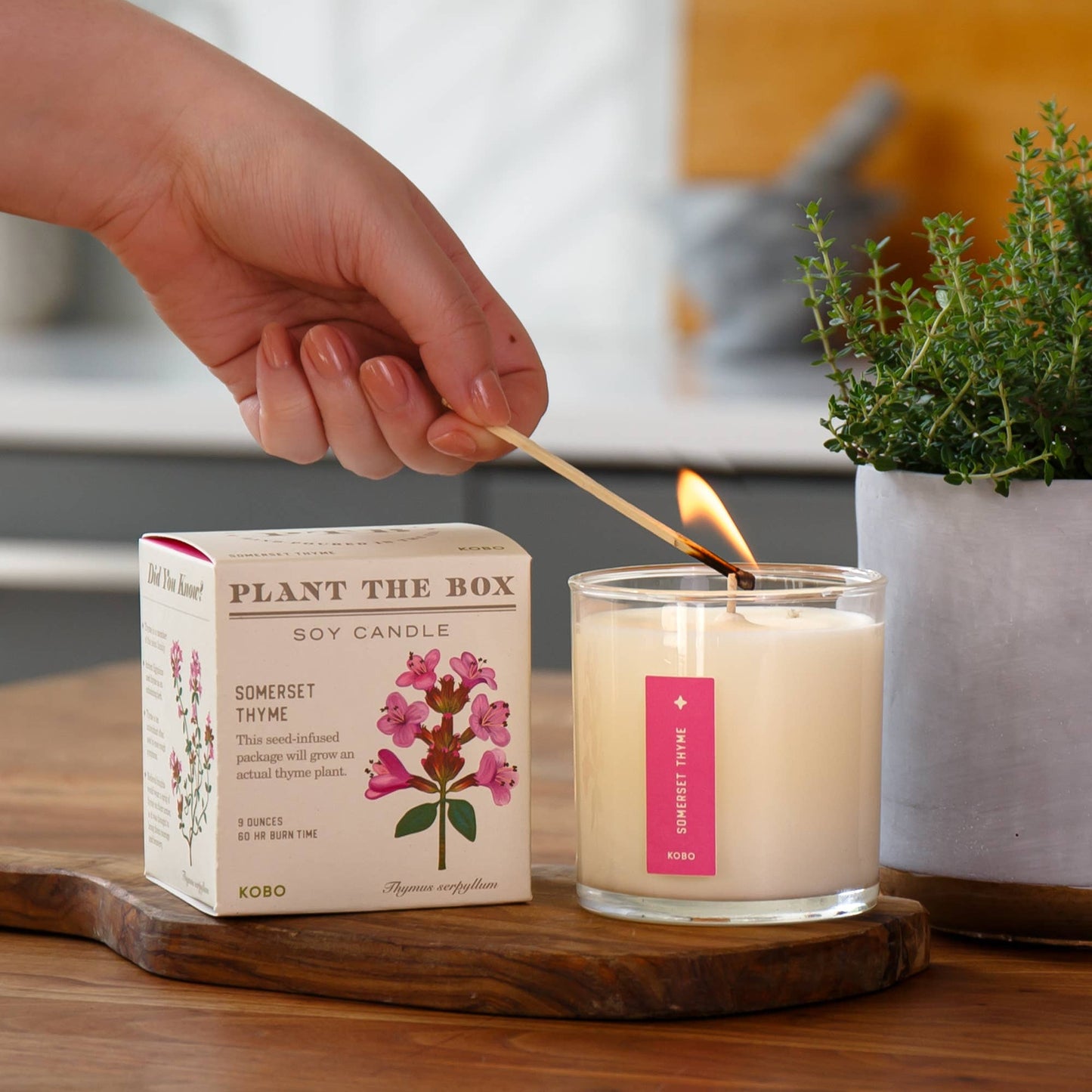 Somerset Thyme - Plant the Box Candle - 9oz.