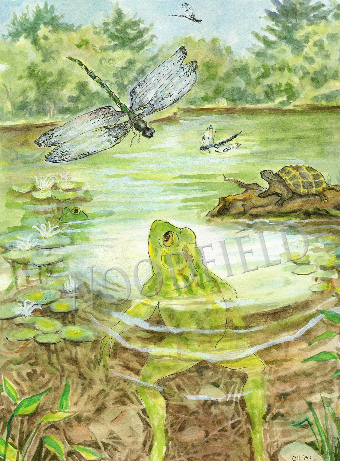 #18 - Lily Pond Notecard - Giclee Only