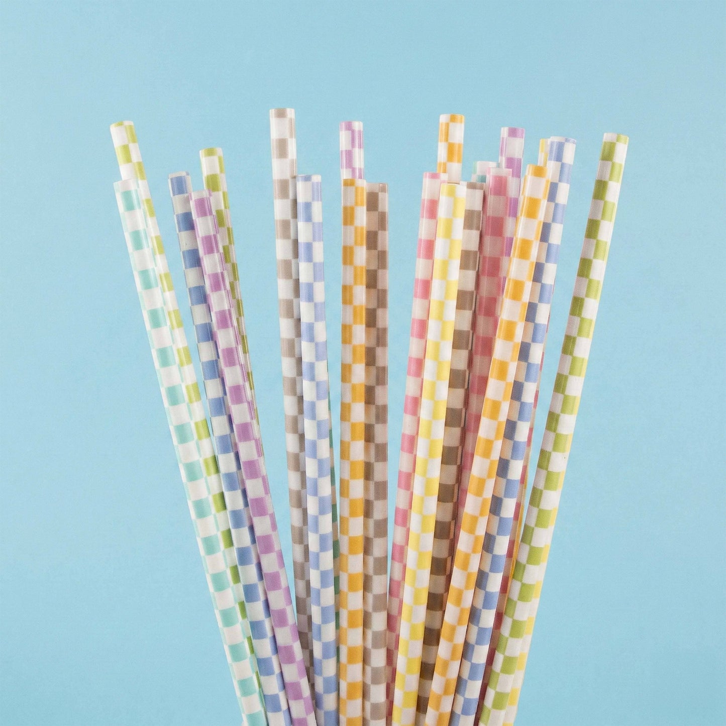 Checkered Reusable Straws - 24 Pack