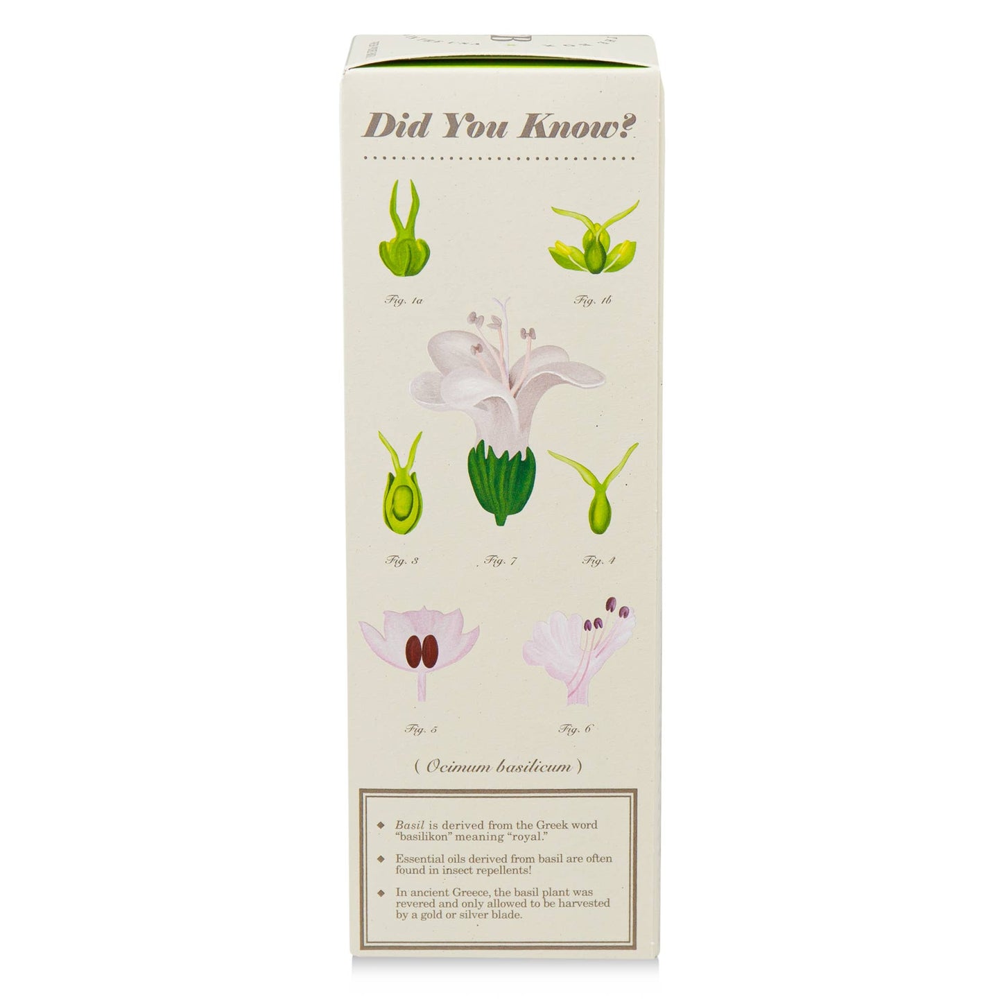 Fresh Picked Basil Diffuser 4 oz