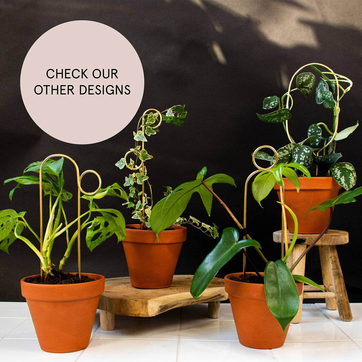 Perch Gold Mini Plant Stake from rust-proof metal