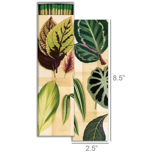 Long Matches