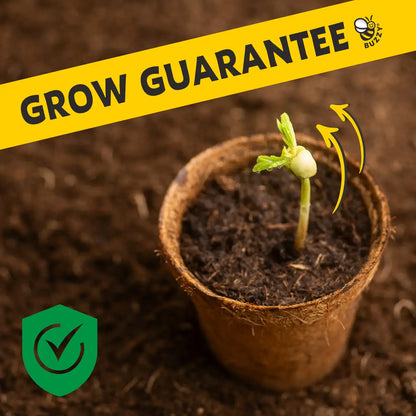Tea Garden Grow Kit | Herb Kit | Indoor Garden Set