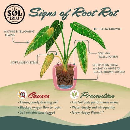 Soil (2Qt) Houseplant Chunky Mix (Aroid/Tropical Soilless)