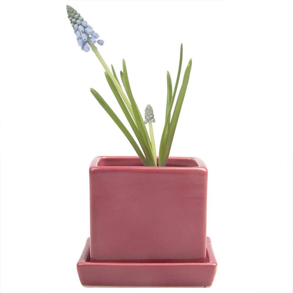 Cube Pot With Saucer And Drainage Hole 60 Plus Colors